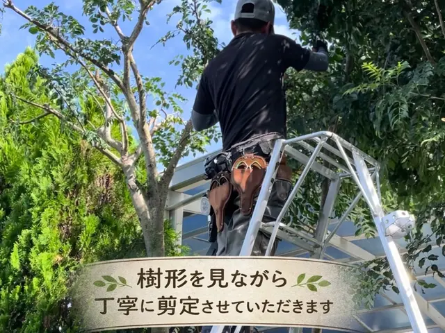 ☆２０２６年２月オープン☆造園一筋15年以上！お庭のお手入れお任せください！サービスの画像