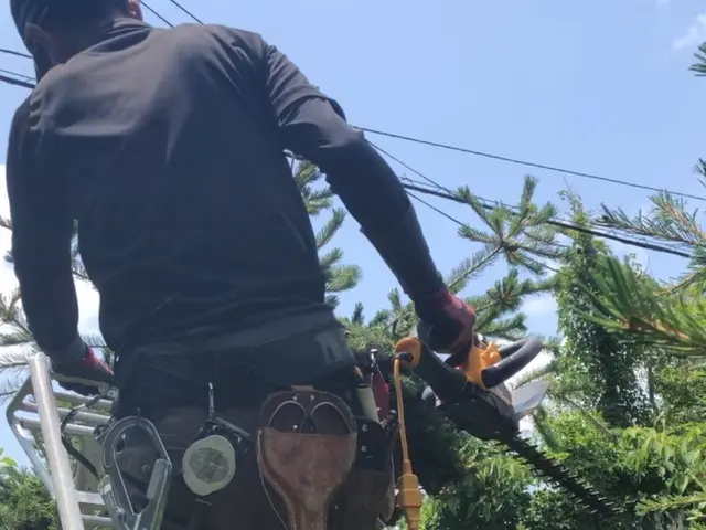 ☆2026年2月オープン☆造園一筋15年以上！お庭のお手入れお任せください！サービスの画像