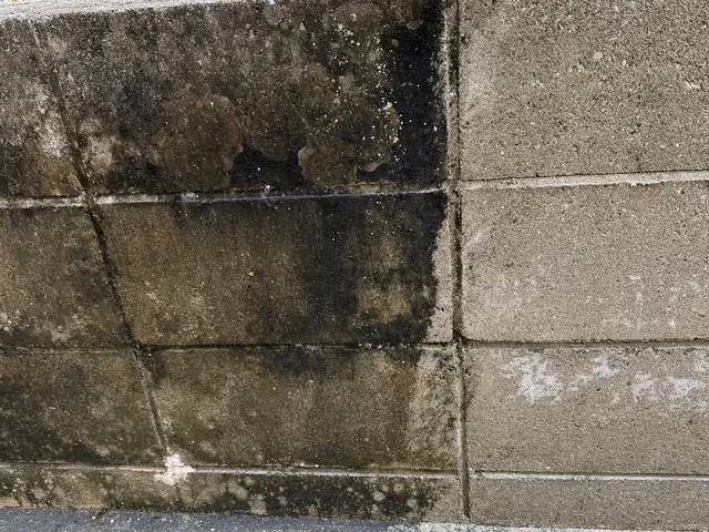 お客様のお力になります！経験と知識を活かして迅速丁寧に作業いたしますサービスの画像