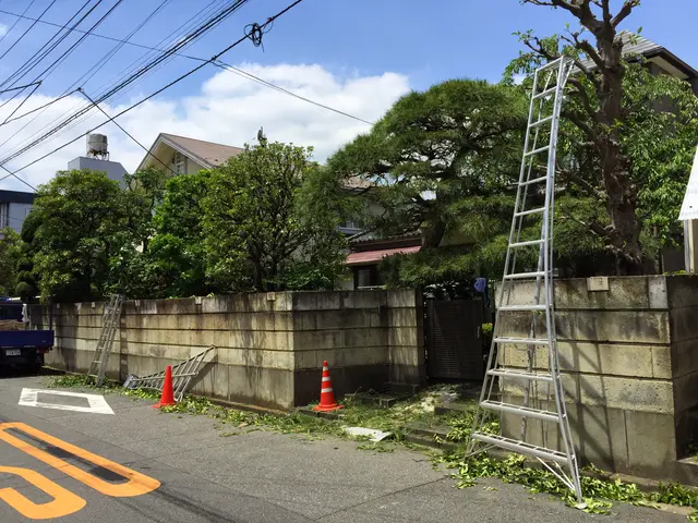 庭木の剪定・一本から承ります。ご遠慮なくお申し付けください。サービスの画像