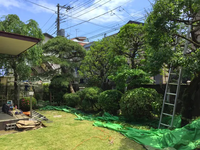 庭木の剪定・一本から承ります。ご遠慮なくお申し付けください。サービスの画像