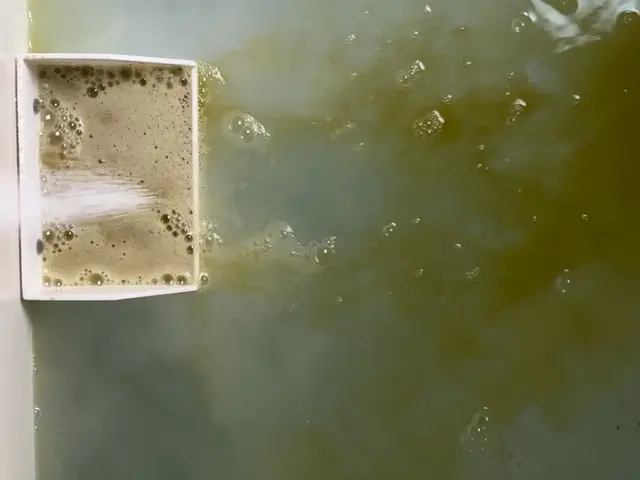 ◎専用洗剤使用 ◎ハウスクリーニング士 ◎山梨ミクロクリーニングサービスの画像