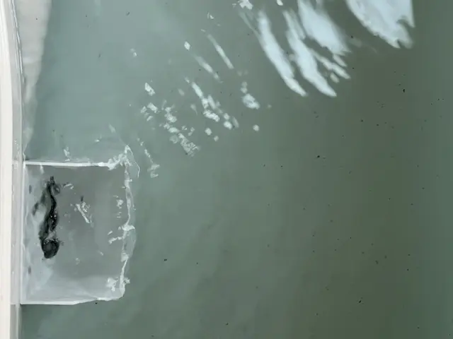 ◎専用洗剤使用 ◎ハウスクリーニング士 ◎山梨ミクロクリーニングサービスの画像