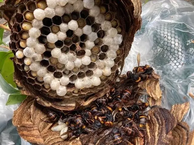 ＜大手経験の確かな技術＞営業時間外のご予約も相談OK◎サービスの画像