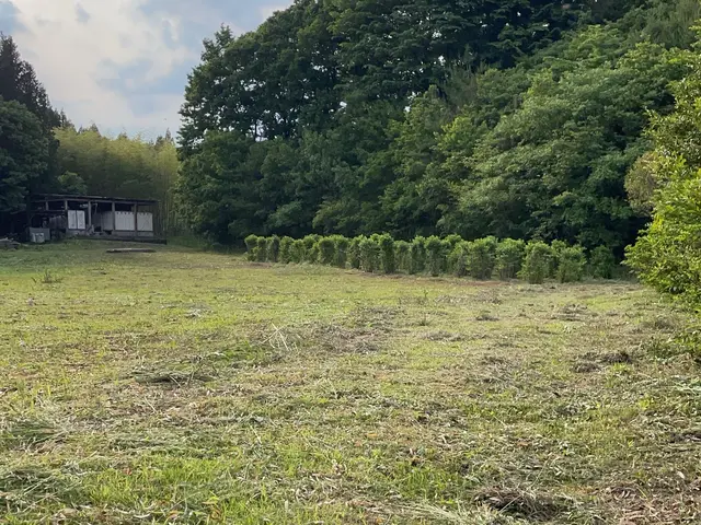 自社スタッフがお伺いします◎女性スタッフ同行可能◎営業時間外も対応可能サービスの画像