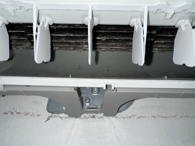 環境に優しいお子様やペットにも安心の天然エコ洗剤使用☆サービスの画像