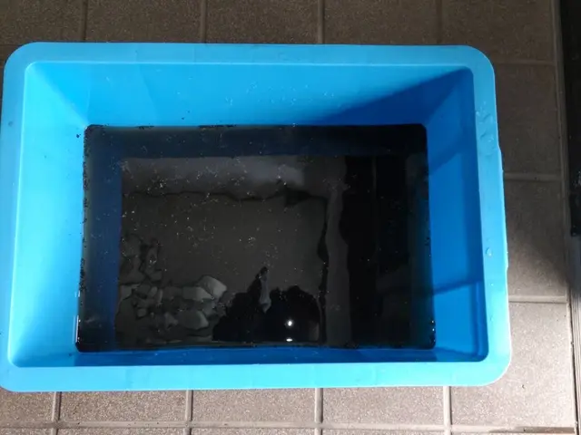 環境に優しいお子様やペットにも安心の天然エコ洗剤使用☆サービスの画像