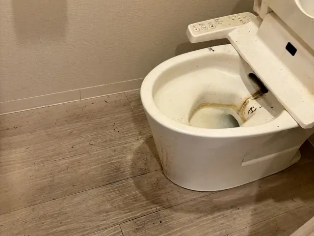 トイレクリーニングサービスの画像