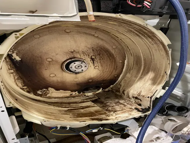 ◆年中無休◎環境に優しい洗濯機クリーニング！アフターフォローも万全！サービスの画像