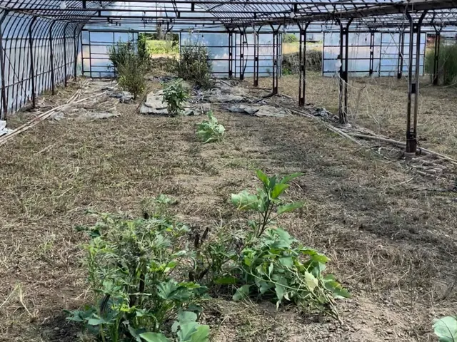 【年末年始深夜当日】深夜当日大歓迎！細かい要望や追加作業にも丁寧に対応致します！サービスの画像