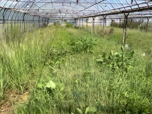 【年末年始深夜当日】深夜当日大歓迎！細かい要望や追加作業にも丁寧に対応致します！サービスの画像