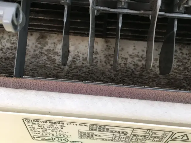 ＜損保加入済＞カビや菌からあなたの家族を守ります！サービスの画像