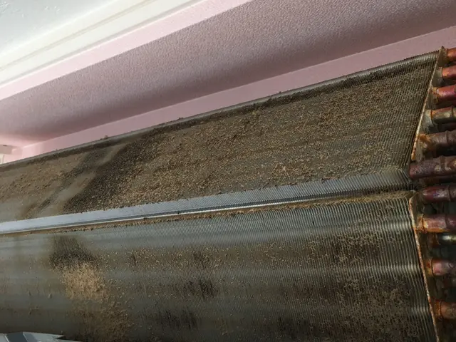 ＜損保加入済＞カビや菌からあなたの家族を守ります！サービスの画像