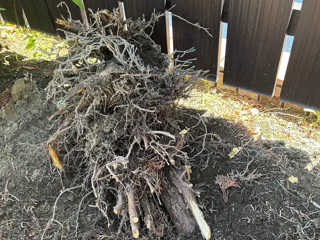 【女性スタッフの同行OK】営業時間外のご相談も受付可能です！サービスの画像