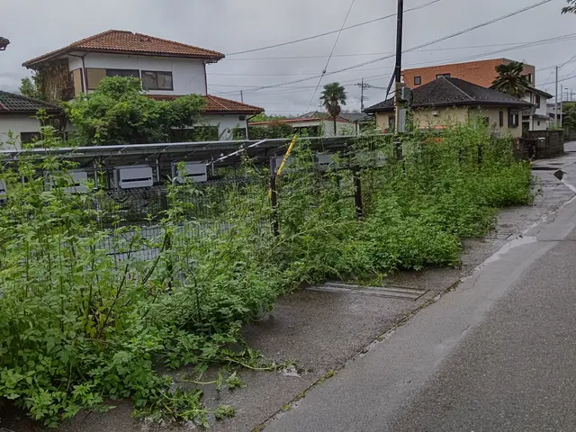 【植木屋歴10年】庭園管理士、造園技能士資格保有！すべて自社対応！サービスの画像