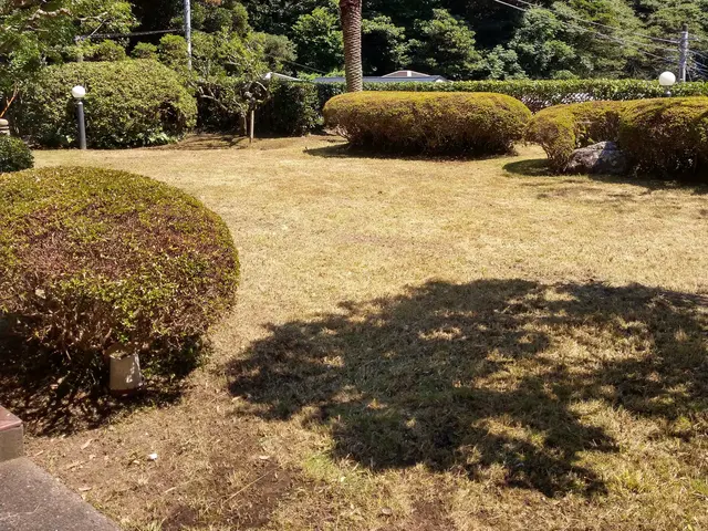 【植木屋歴10年】庭園管理士、造園技能士資格保有！すべて自社対応！サービスの画像