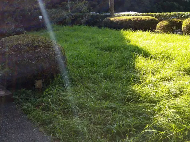 【植木屋歴10年】庭園管理士、造園技能士資格保有！すべて自社対応！サービスの画像