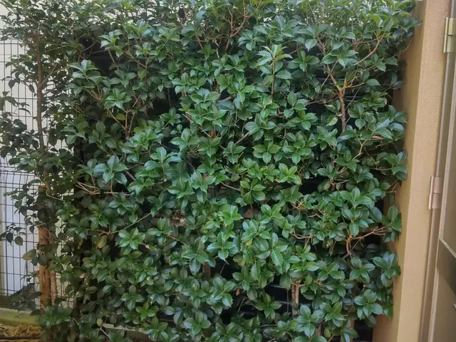 ◆予約から施工まで100%自社対応◆駐車代お店負担◆迅速丁寧に対応しますサービスの画像