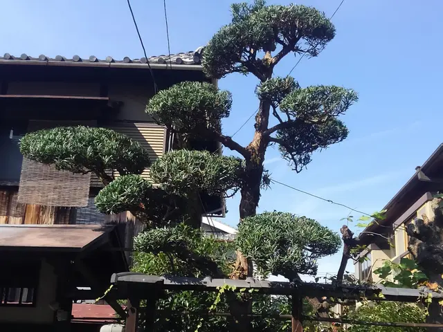 ◆予約から施工まで100%自社対応◆駐車代お店負担◆迅速丁寧に対応しますサービスの画像