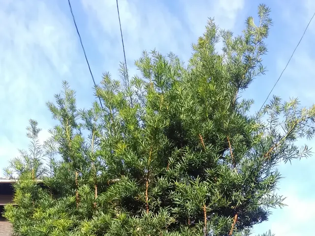 ◆予約から施工まで100%自社対応◆駐車代お店負担◆迅速丁寧に対応しますサービスの画像