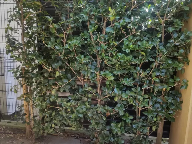 ◆予約から施工まで100%自社対応◆駐車代お店負担◆迅速丁寧に対応しますサービスの画像