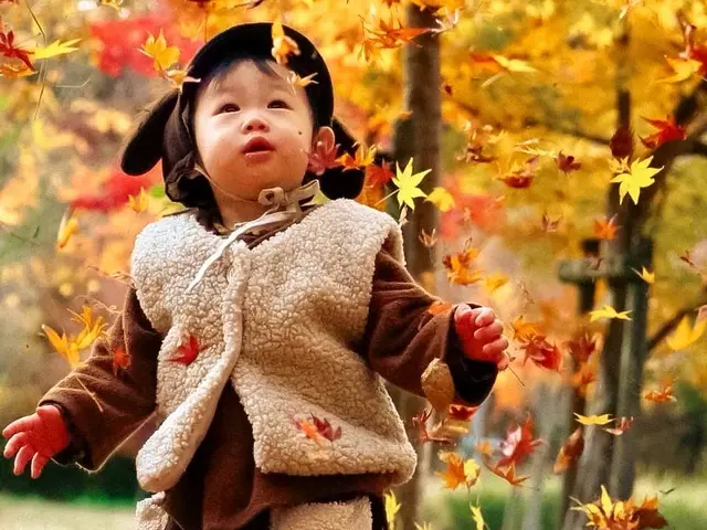 プロの技術でご満足いただけるように心を込めて撮影いたしますサービスの画像