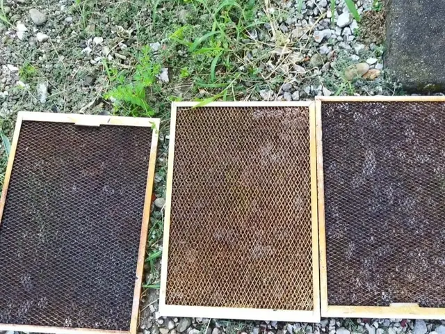 豊富な経験と知識で安心！仕上がり重視で丁寧に作業いたします！サービスの画像