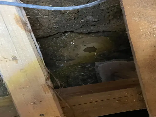 【業歴12年の実績】年中無休◎対応地域外も対応可◎迅速丁寧に仕上げますサービスの画像