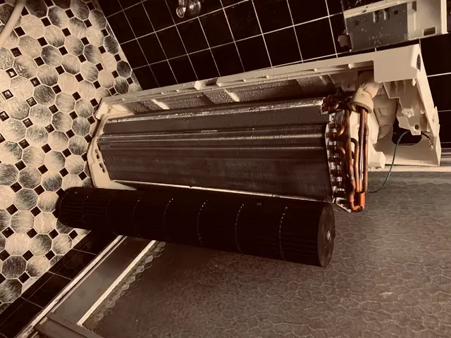 冷風と共に出るカビの胞子を吸うと人体によくありません。洗浄でフレッシュな冷風を。サービスの画像