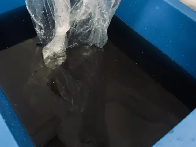 冷風と共に出るカビの胞子を吸うと人体によくありません。洗浄でフレッシュな冷風を。サービスの画像