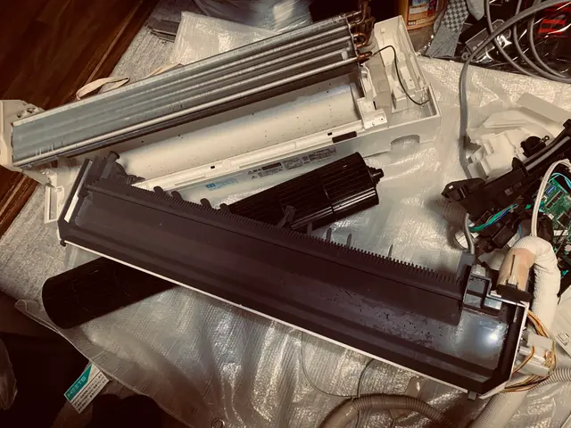 冷風と共に出るカビの胞子を吸うと人体によくありません。洗浄でフレッシュな冷風を。サービスの画像