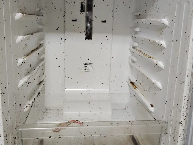 1トーン明るくなります！★各パーツ取り外して洗浄致します。／殺菌効果仕上げサービスの画像