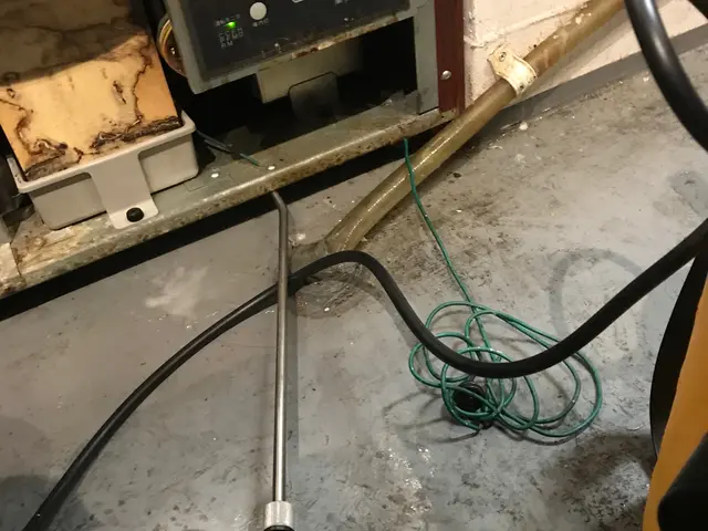 経験を生かした駆除でお客様に貢献、出張費無料サービスの画像