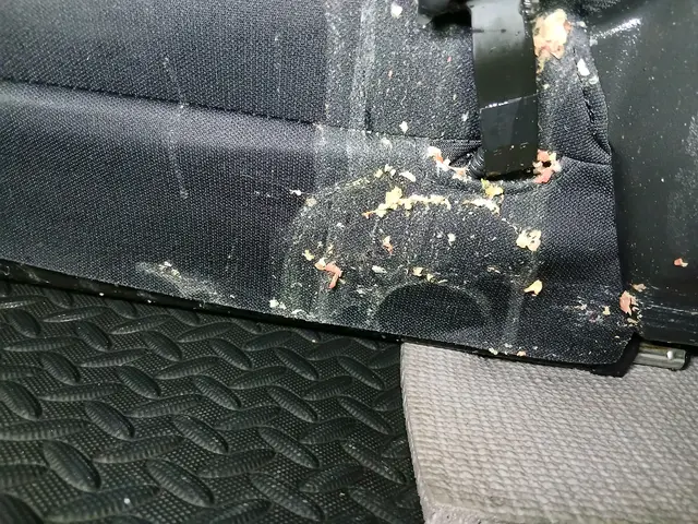 サイト登録開始記念、丸洗い清掃を¥20000! 丁寧、クオリティ、なら負けませんサービスの画像