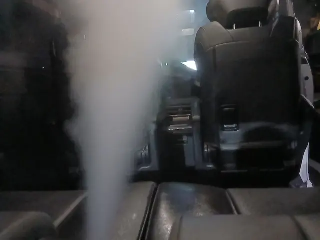 年末に多い★嘔吐や糞尿★食べ溢しの汚れ臭い害虫までも専門に清掃します。新車の内装サービスの画像