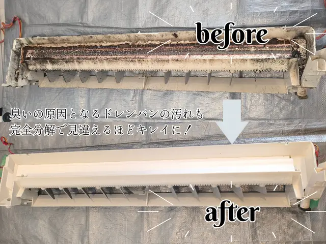 【完全分解◎】圧倒的コスパ◆新品同様の仕上がり◆直近予約◯【高評価】サービスの画像