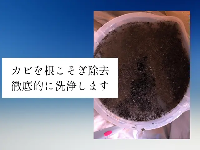 【完全分解◎】圧倒的コスパ◆新品同様の仕上がり◆直近予約◯【高評価】サービスの画像