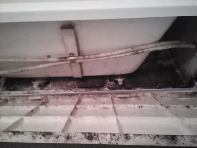 バスルームクリーニング 溜まった汚れをクリーンアップ！クレジット対応可能サービスの画像