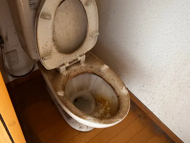 ☆☆尿石、匂い、綺麗に取りピカピカにます☆サービスの画像