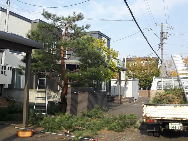 高木剪定、危険木の伐採も賜ります！他店で断られた件も気軽にご相談くださいませ。サービスの画像