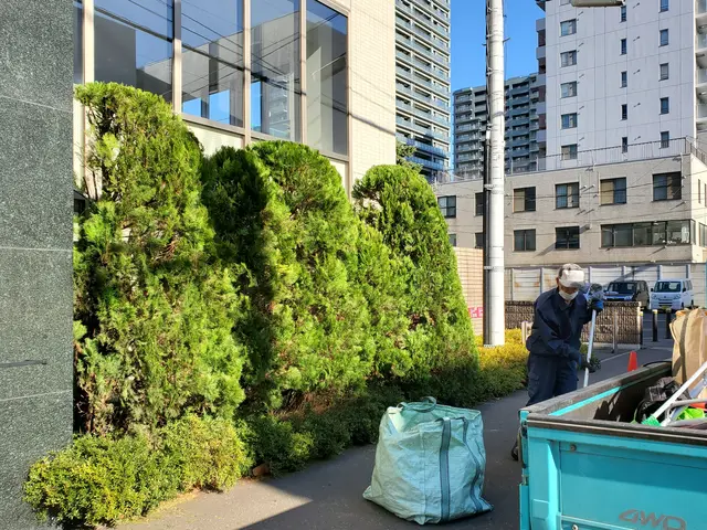 高木剪定、危険木の伐採も賜ります！他店で断られた件も気軽にご相談くださいませ。サービスの画像