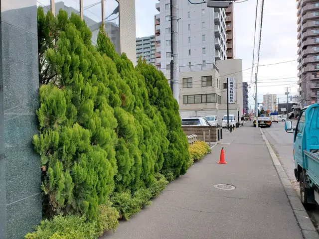 高木剪定、危険木の伐採も賜ります！他店で断られた件も気軽にご相談くださいませ。サービスの画像