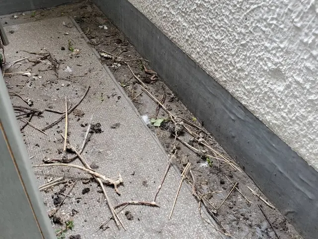 ◎基本料金55000円〜◎作業完了日から5年間の保証をお付けいたします。サービスの画像