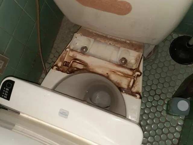 日本初！環境に優しいハウスクリーニング！もちろん身体にも！きれいごとできれいに。サービスの画像