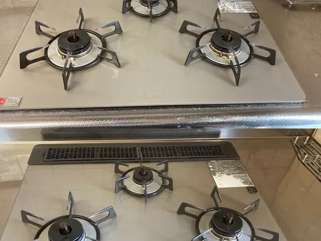 日本初！環境に優しいハウスクリーニング！もちろん身体にも！きれいごとできれいに。サービスの画像