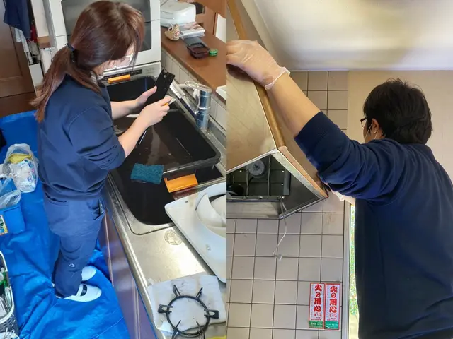 日本初！環境に優しいハウスクリーニング！もちろん身体にも！きれいごとできれいに。サービスの画像