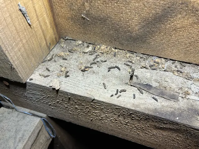 業界歴15年◎時間・場所に柔軟対応！サービスの画像