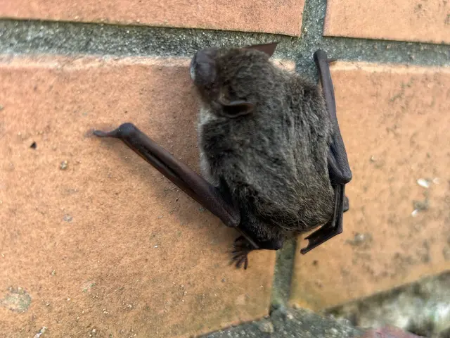 業界歴15年◎時間・場所に柔軟対応！サービスの画像