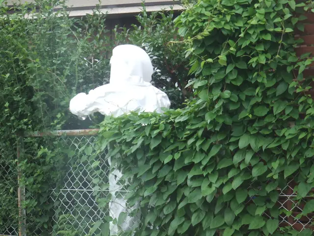 ☆蜂駆除の資格「防除作業監督者所持」忌避剤込みアシナガバチは8800円からサービスの画像