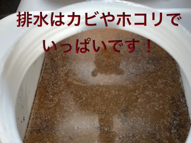 【PayPay対応】損害保険加入・複数台割引・お困り事お聞かせ下さい！サービスの画像